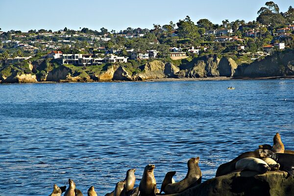 San Diego city skyline